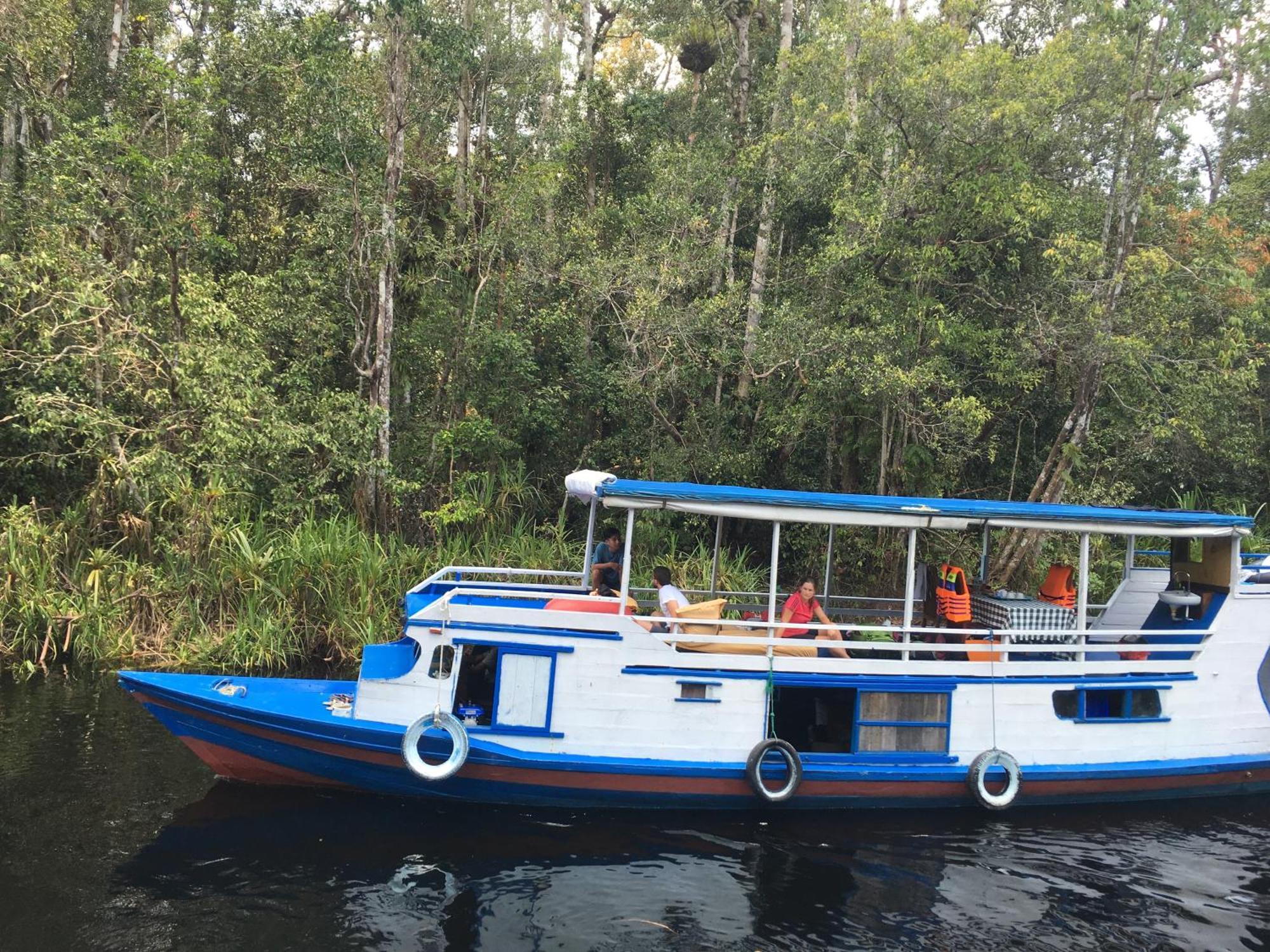 Orangutan Shaka Houseboat With Cabin Pangkalanbuun Exterior photo