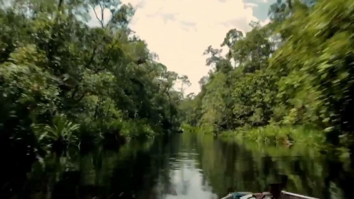 Orangutan Shaka Houseboat With Cabin Pangkalanbuun Exterior photo