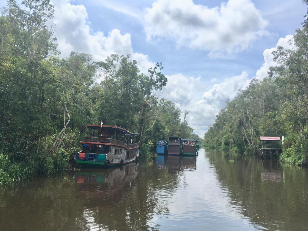 Orangutan Shaka Houseboat With Cabin Pangkalanbuun Exterior photo